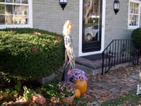 Scarecrow likes it too.