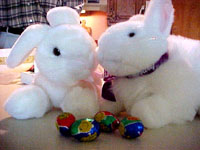Cadbury bunny meet Puddin'