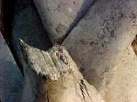 Palm tree bark.