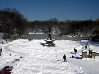 Central Park under 27" of snow!